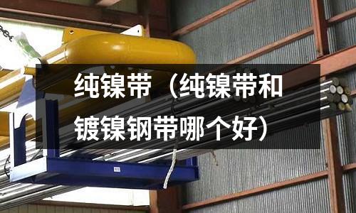 纯镍带（纯镍带和镀镍钢带哪个好）